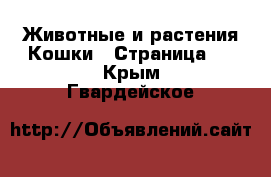 Животные и растения Кошки - Страница 6 . Крым,Гвардейское